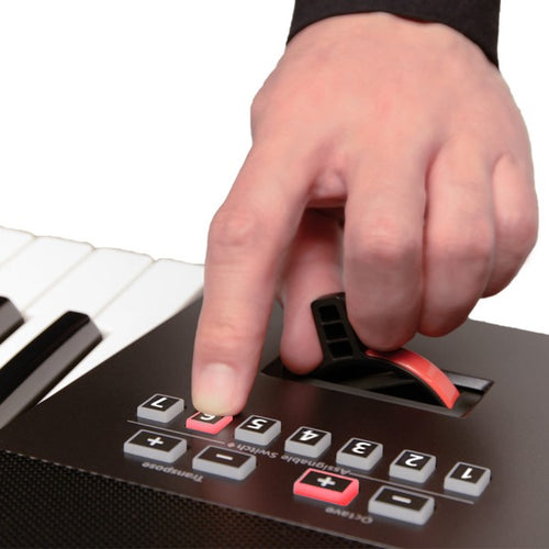 Roland E-A7 Expandable Arranger Keyboard
