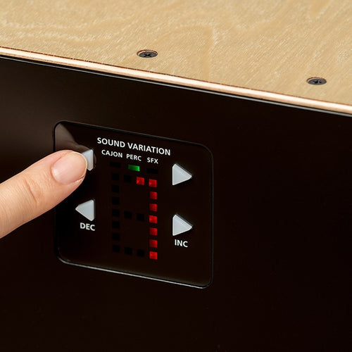 Roland EC-10 EL Cajon