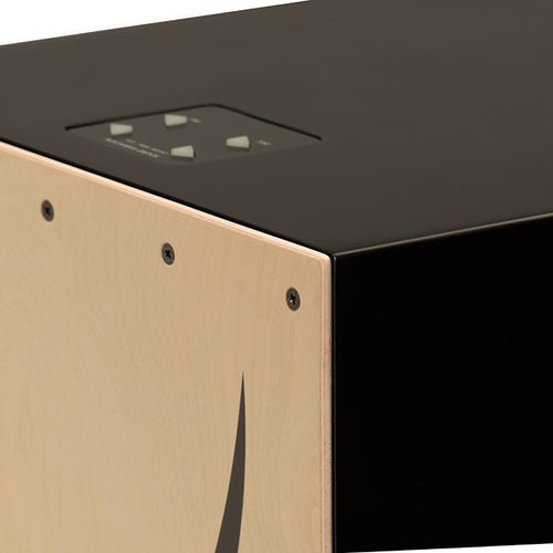 Roland EC-10 EL Cajon