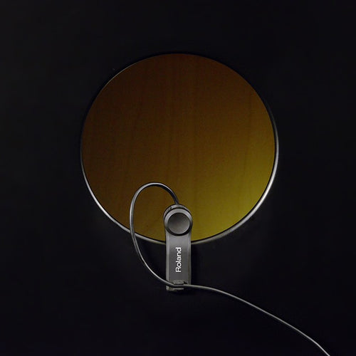 Roland EC-10M ELCajon Mic Processor