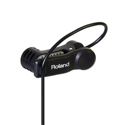 Roland EC-10M ELCajon Mic Processor