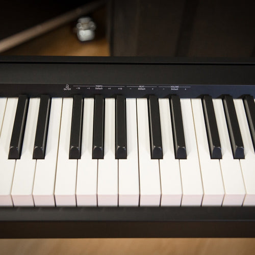 Roland FP-10 Digital Piano - Black