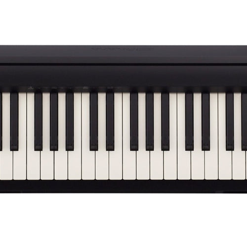 Roland FP-10 Digital Piano - Black