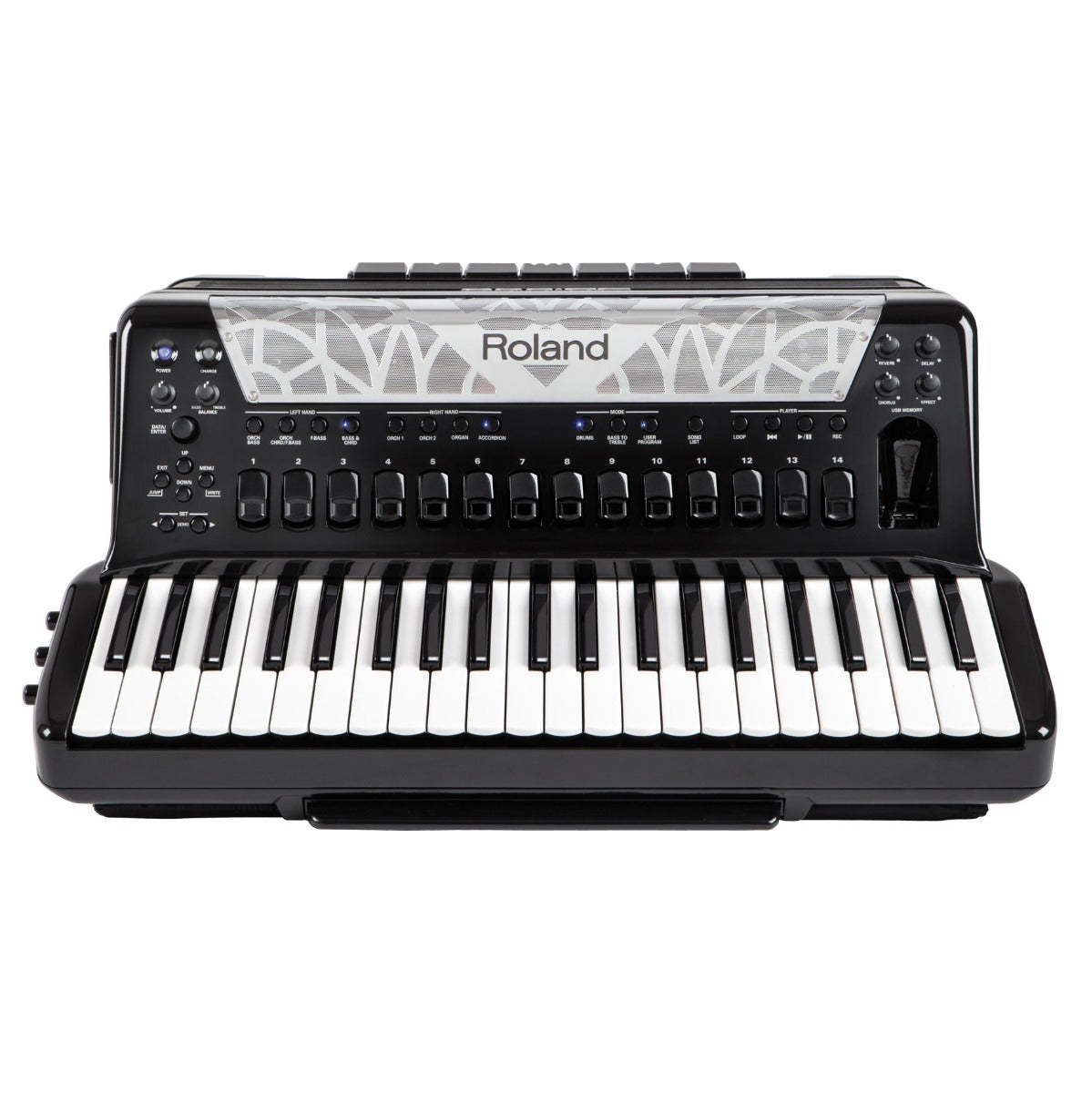 Roland FR-8x V-Accordion Dale Mathis Edition - Black, View 3