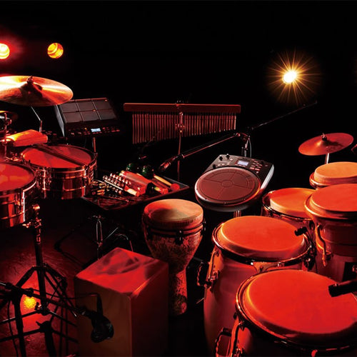 roland handsonic hpd-20 digital hand percussion