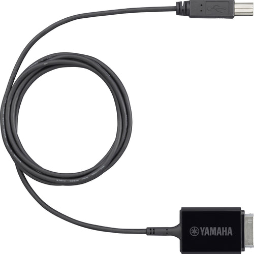 Yamaha i-UX1