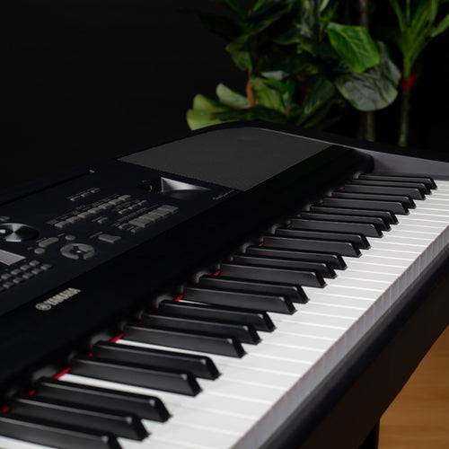 Angle style shot of the Yamaha DGX-670 with plant in background