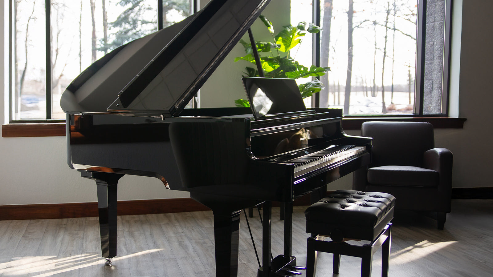 Luxury Upright & Grand Pianos