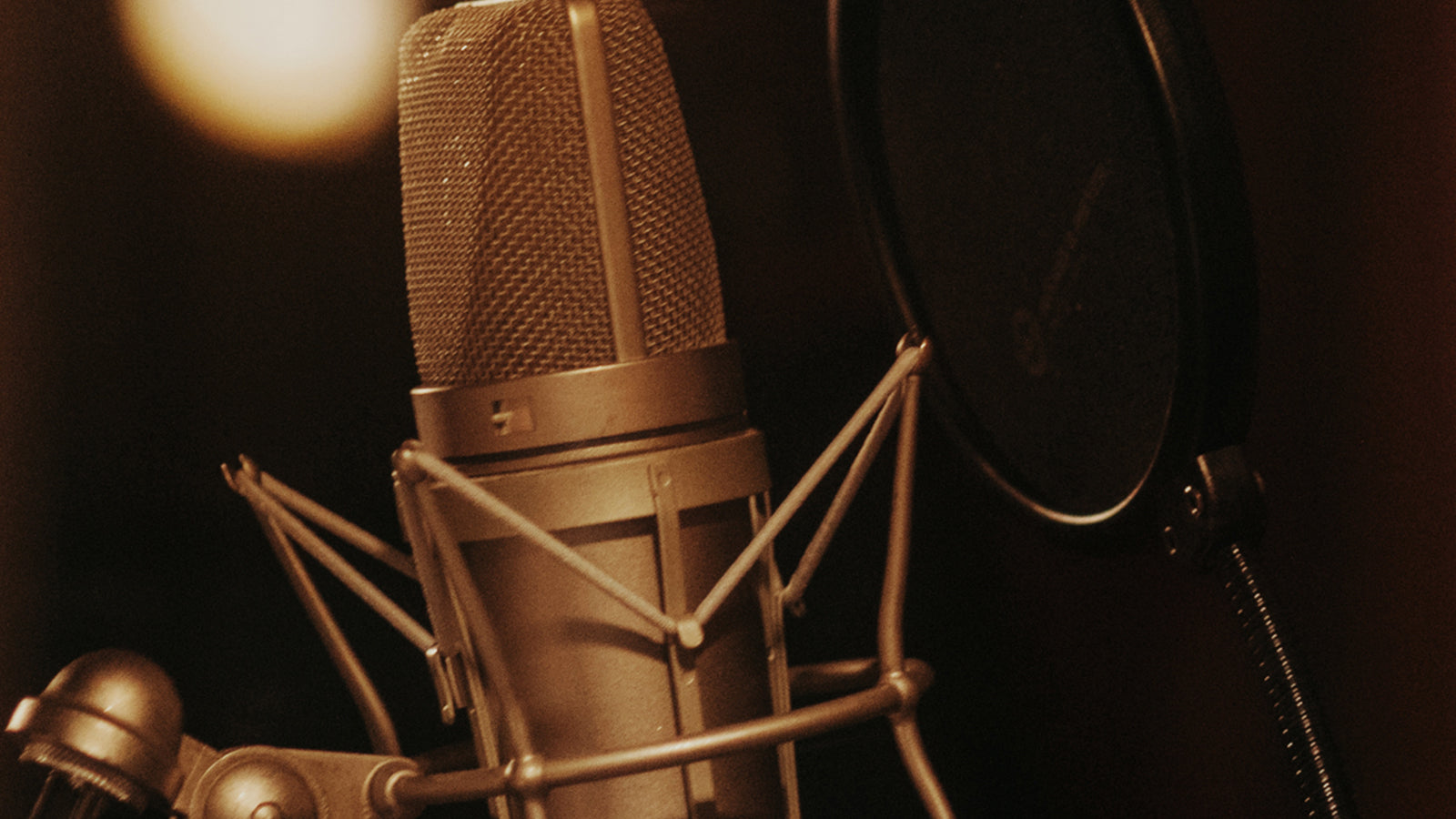 A Neumann microphone in a recording studio