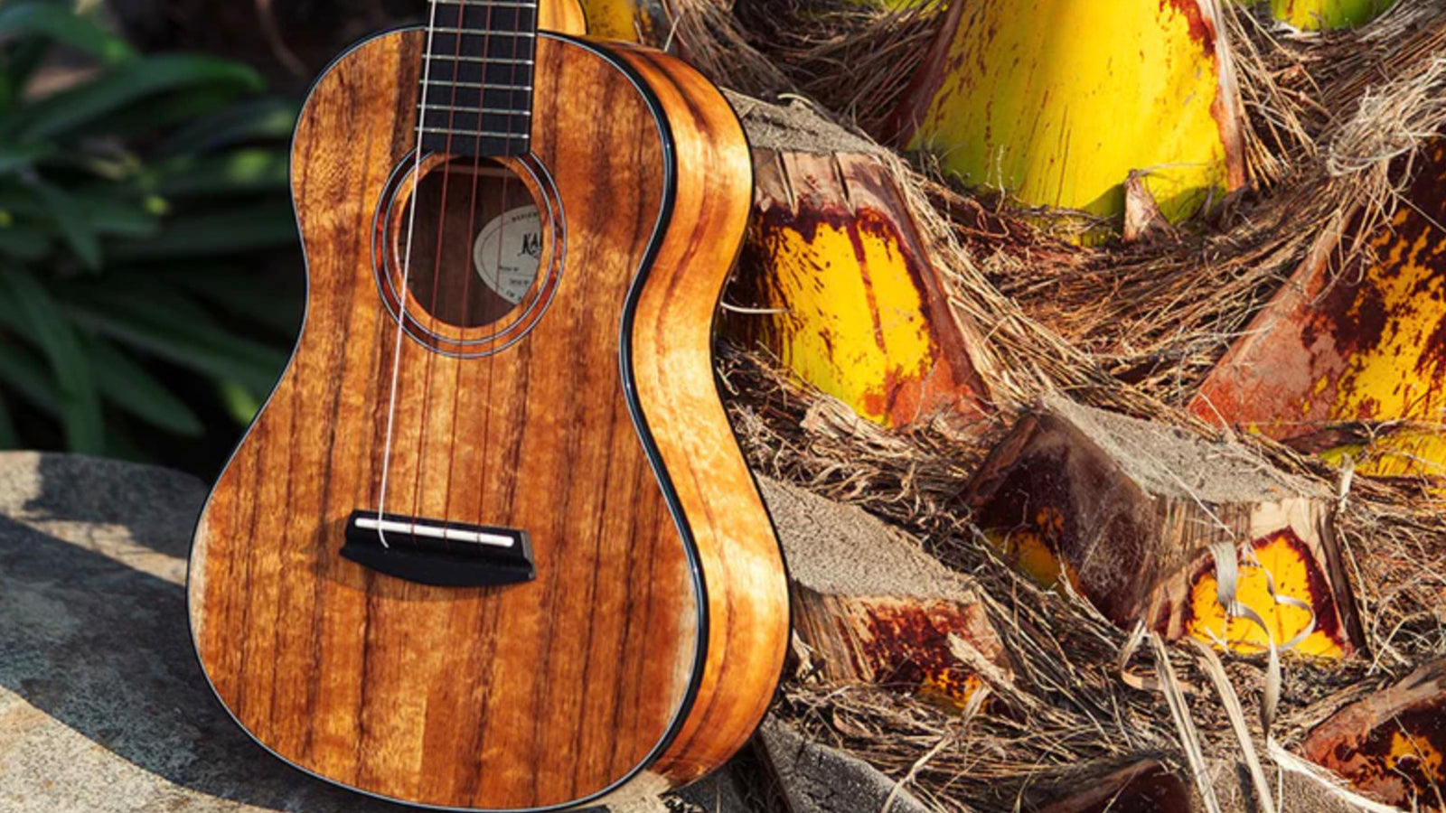 A Kala ukulele leaning on a palm tree