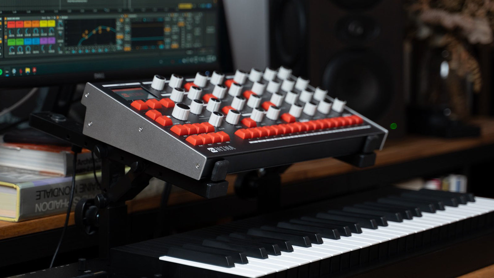 Melbourne Instruments Nina 12-Voice Analog Polyphonic Synthesizer ...