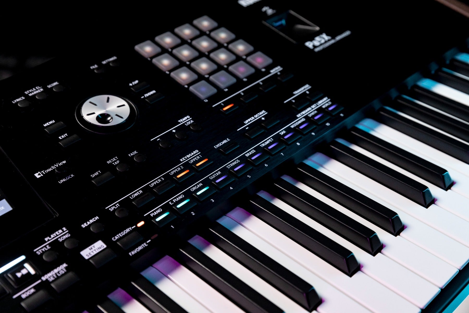 Korg PA5X 61-key Professional Arranger Workstation Keyboard