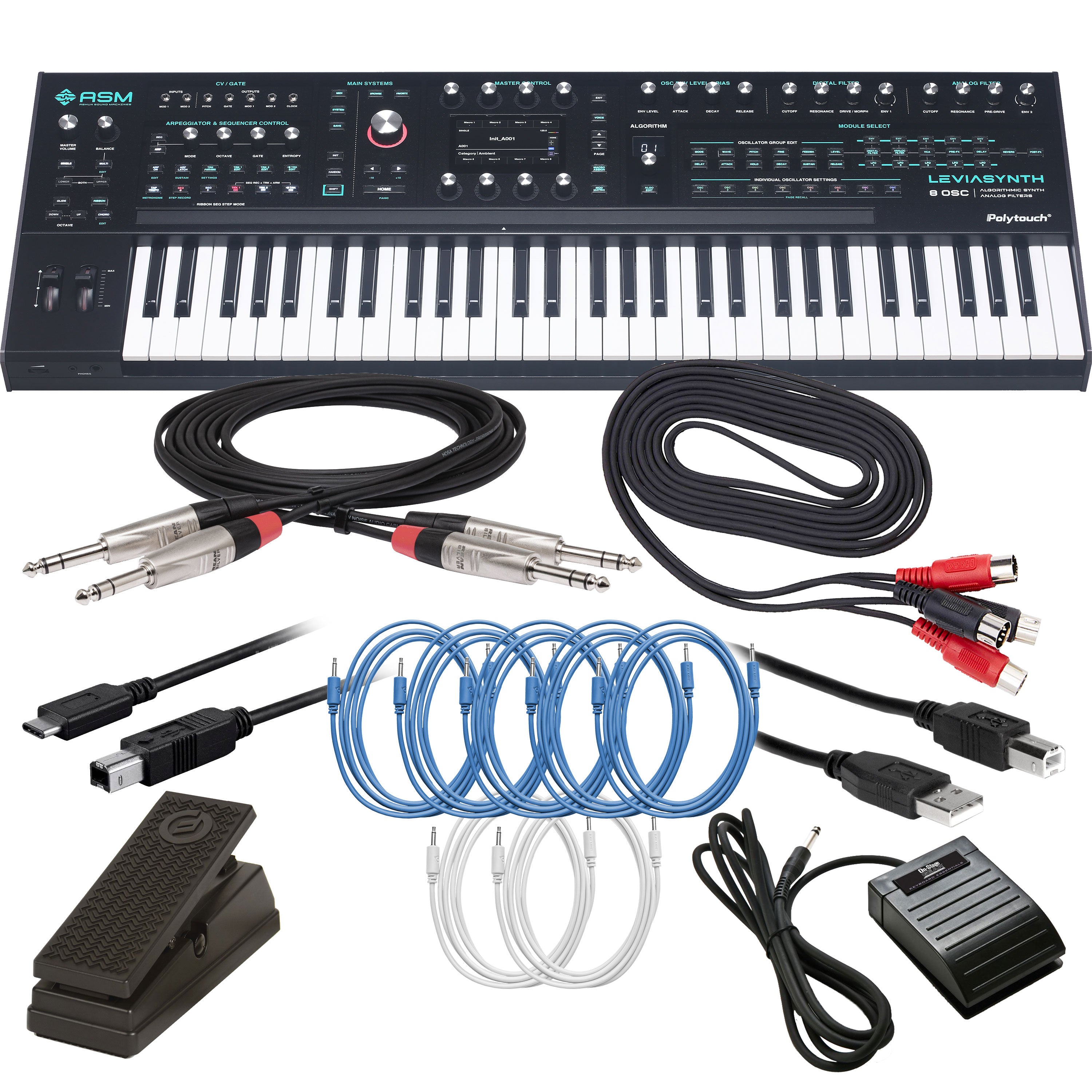 ASM Leviasynth Keyboard 16-Voice Algorithmic Synthesizer CABLE KIT