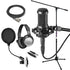 Audio-Technica AT2050 Multi-pattern Condenser Microphone STUDIO PAK