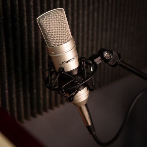 CAD Mixdown X1 Condenser Mic in a studio setting