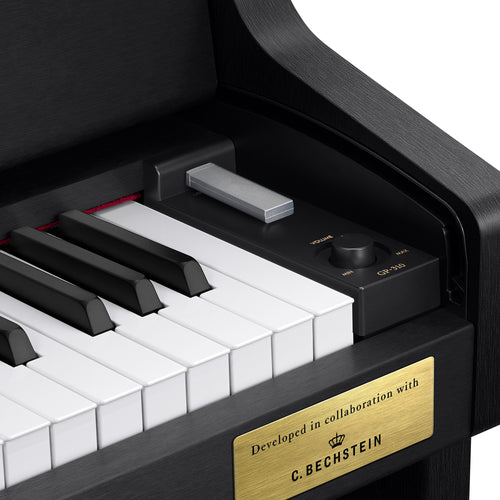 Casio Celviano Grand Hybrid GP-310 Digital Piano - Satin Black - Power and USB Port