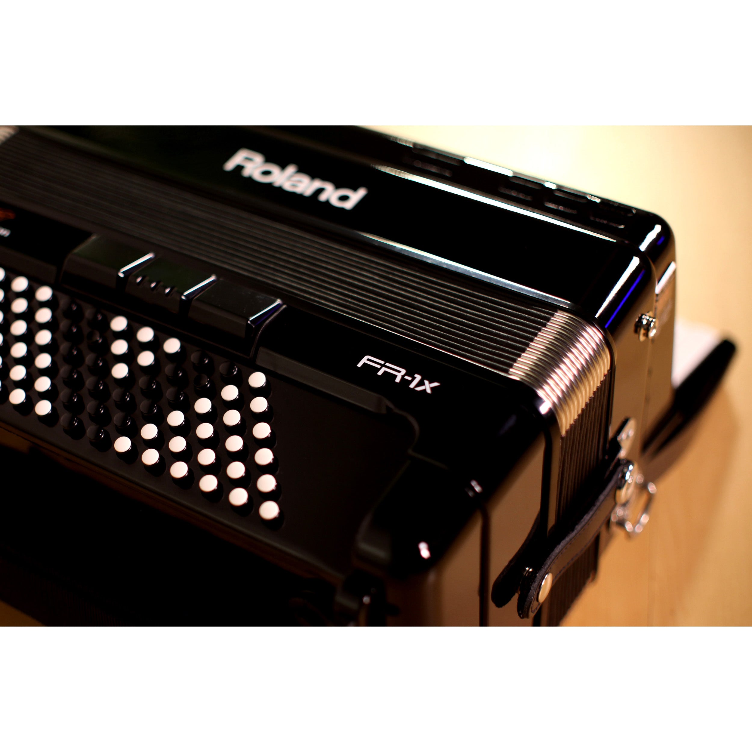 Roland FR-1x V-Accordion Lite Dale Mathis Edition - Black – Kraft