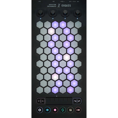 Intuitive Instruments Exquis 61-Key MPE MIDI Controller View 1