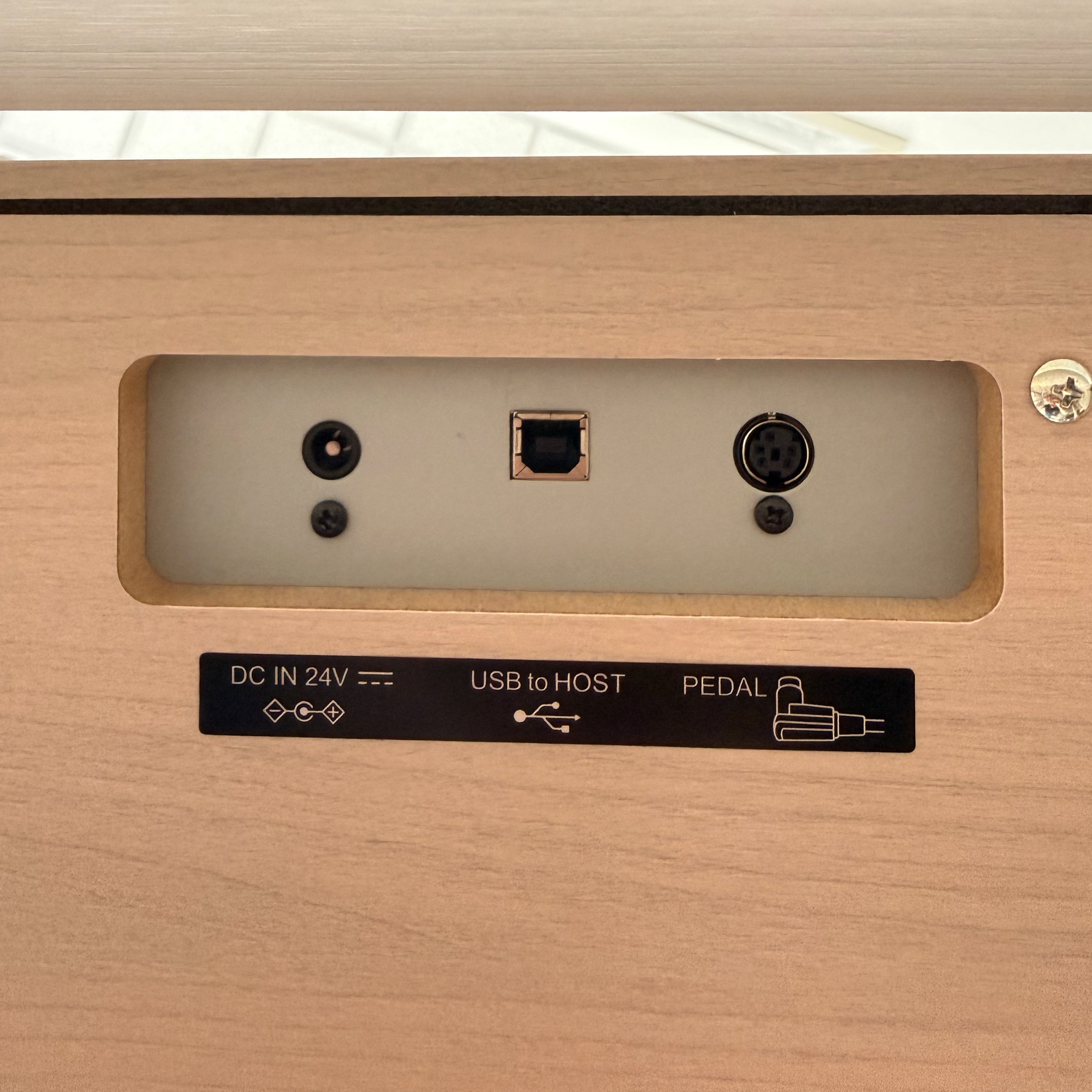 Kawai CA501 Concert Artist Digital Piano - White Maple - USB, pedal, and power jacks