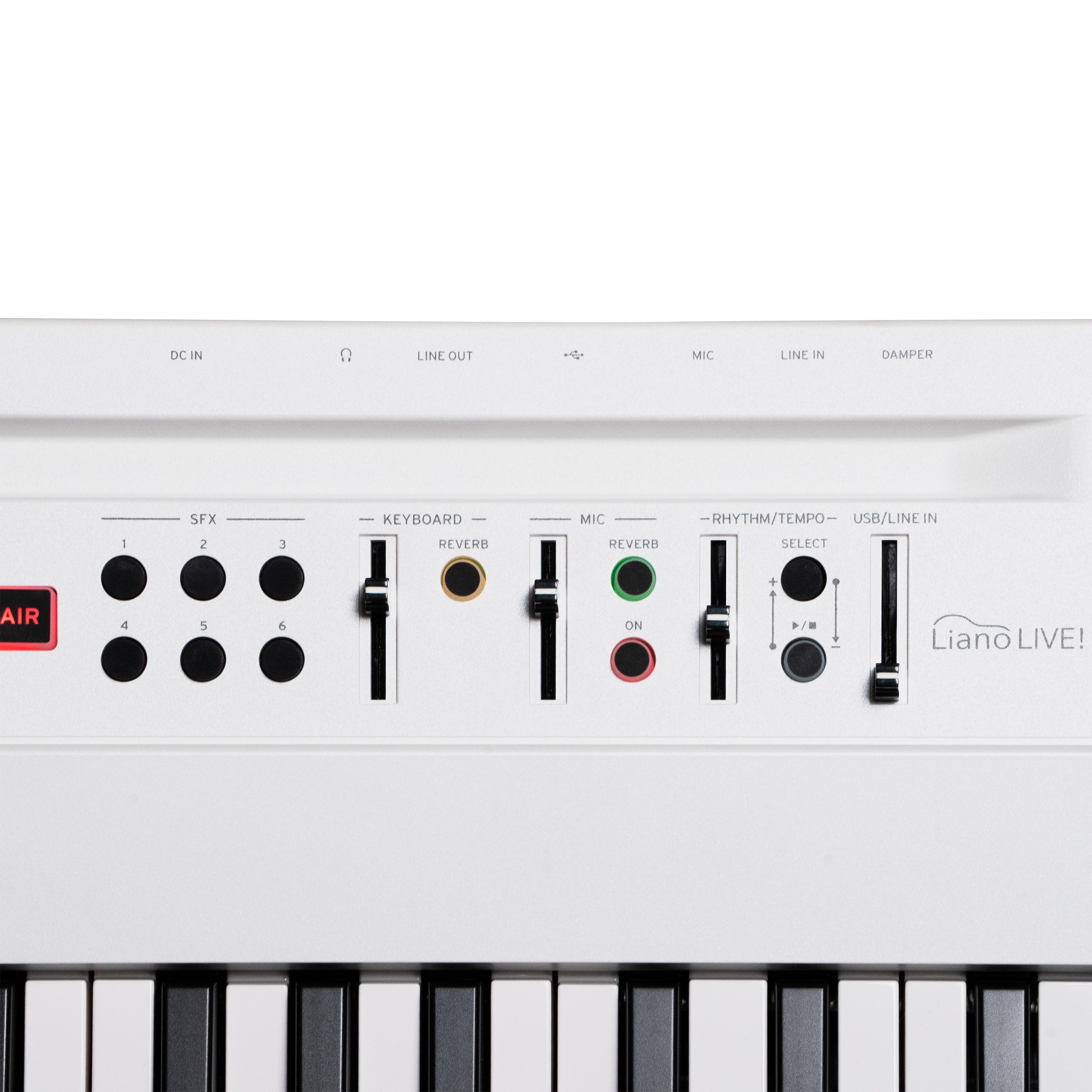 Liano LIVE! 88-Key Digital Piano – Livestream-Ready Keyboard for