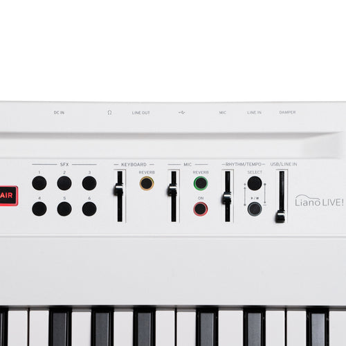 Korg Liano Live Digital Piano, view 2