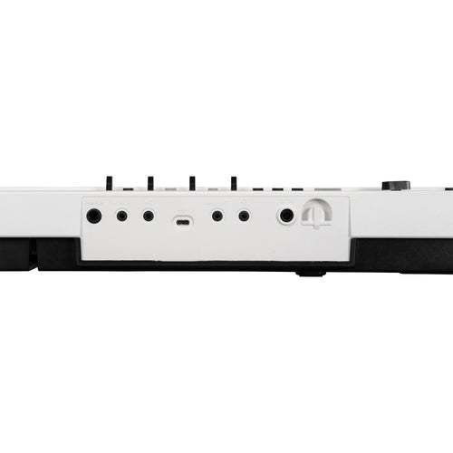 Korg Liano Live Digital Piano, view 4