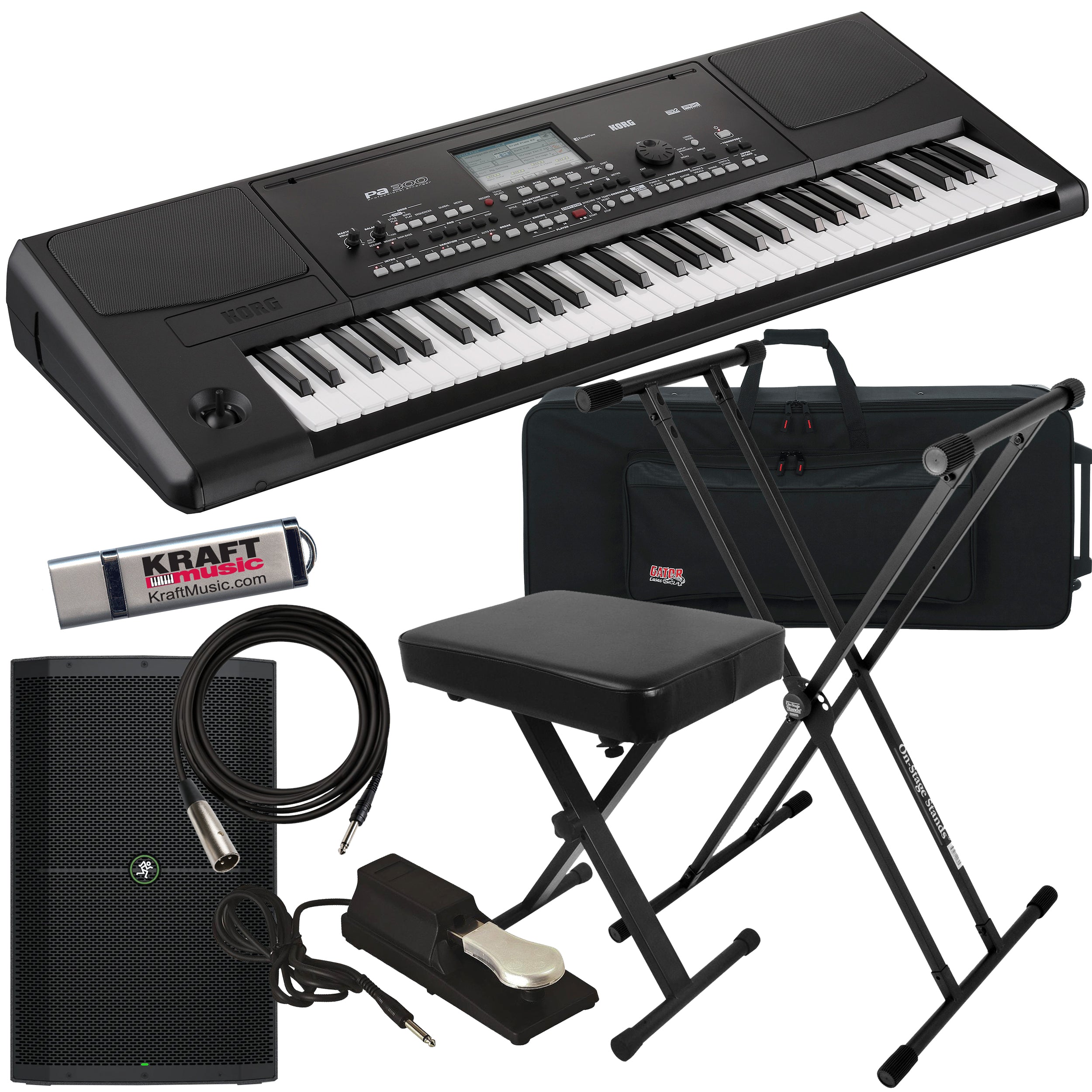 Korg Pa300 Professional Arranger COMPLETE STAGE BUNDLE