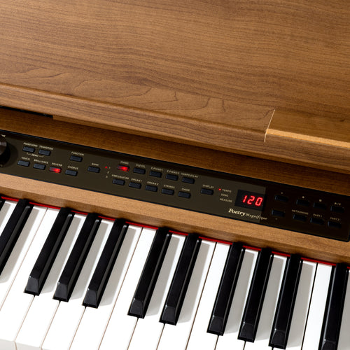 Korg Poetry Magnifique Digital Piano - Brown, View 12