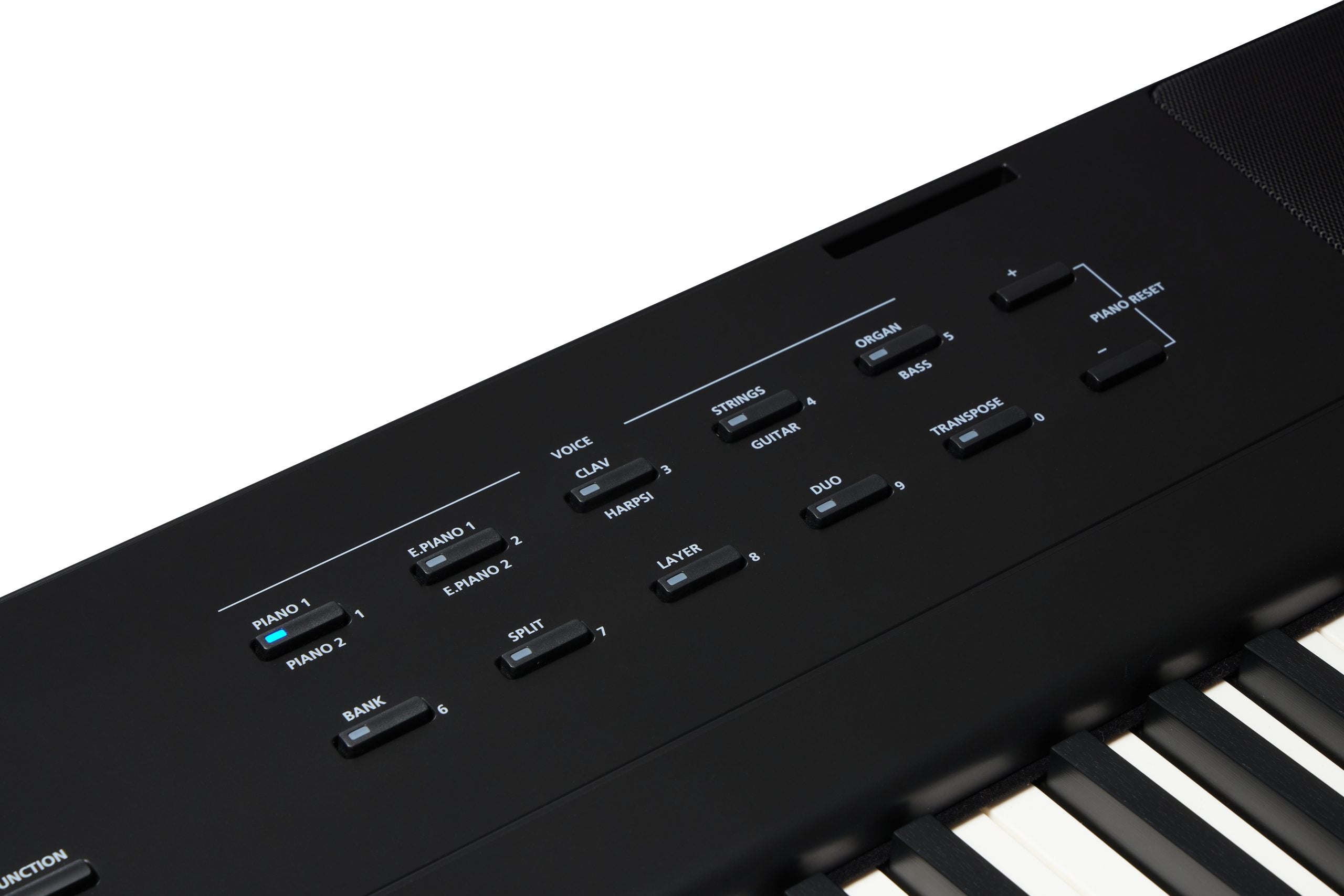 Kurzweil KaE1 Digital Piano - Black - View 10