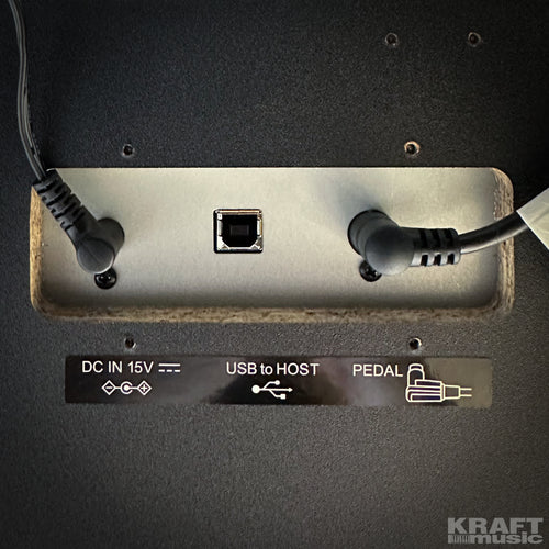 Kawai CN301 Digital Piano - Satin Black - Power, pedal, and USB port