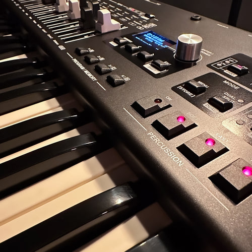 Viscount Legend One 61 Stage Keyboard - View 10