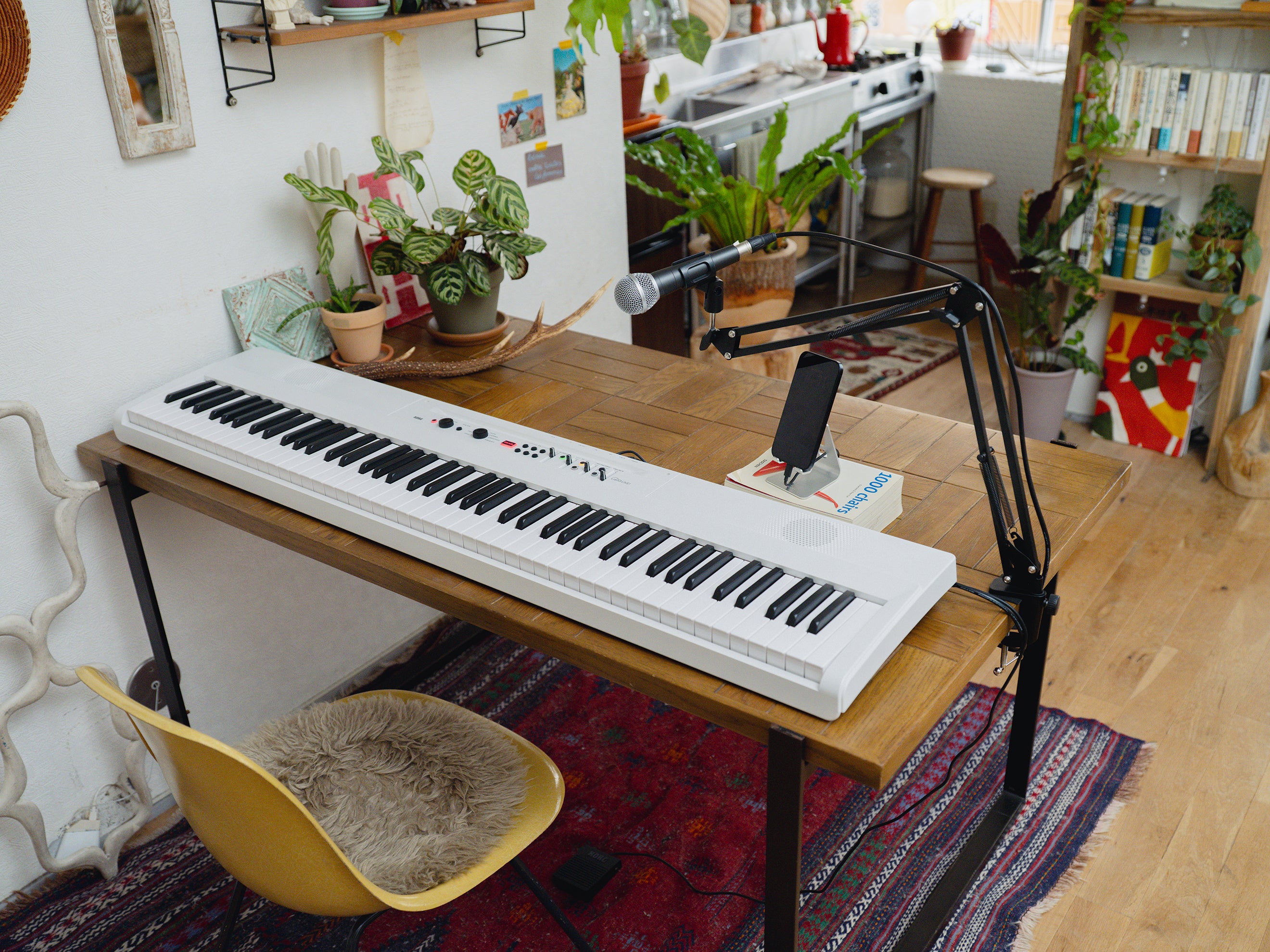 Korg Liano LIVE! Livestream-Ready Digital Piano – Save with