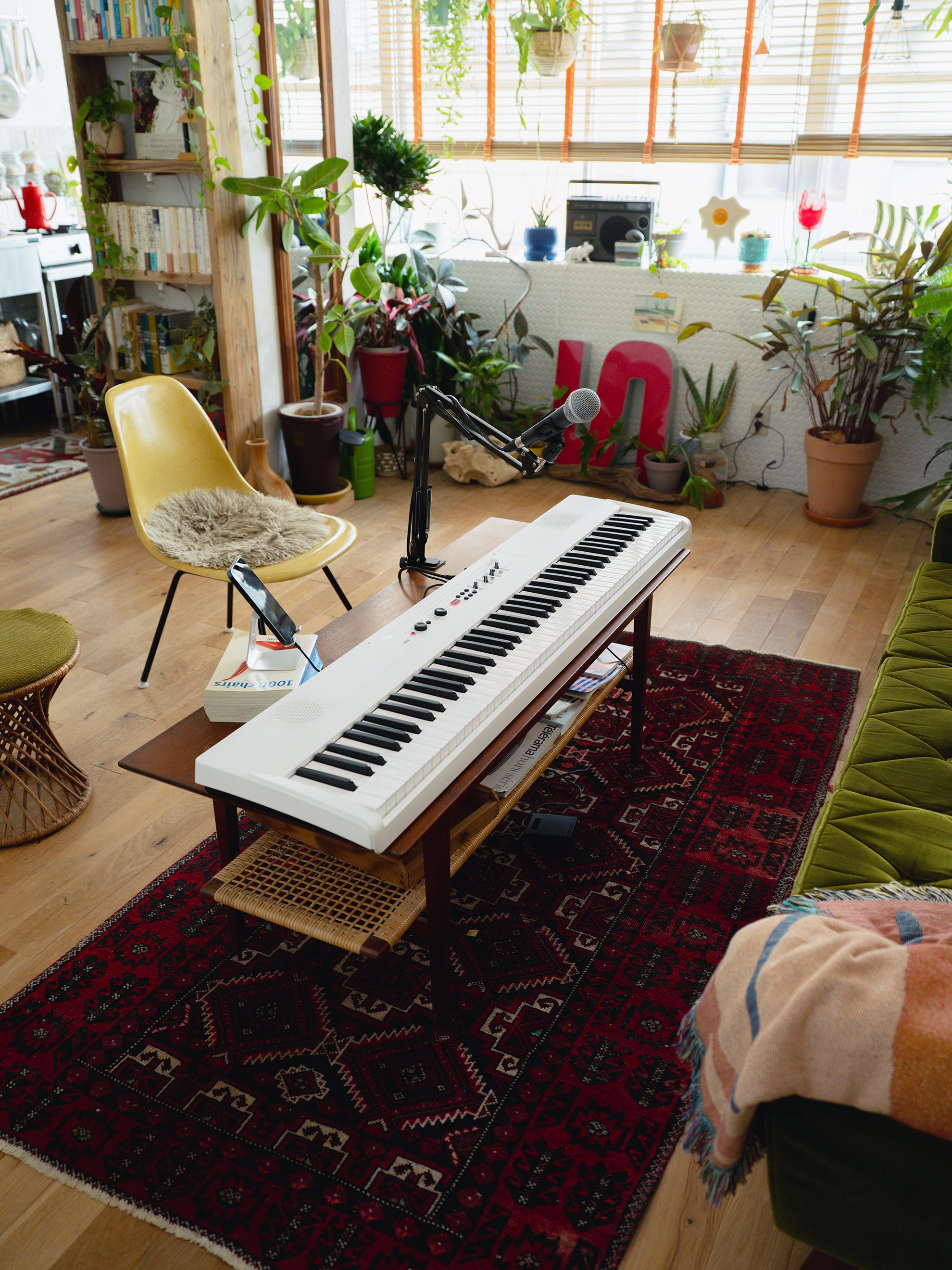 Korg Liano Live Digital Piano, view 12