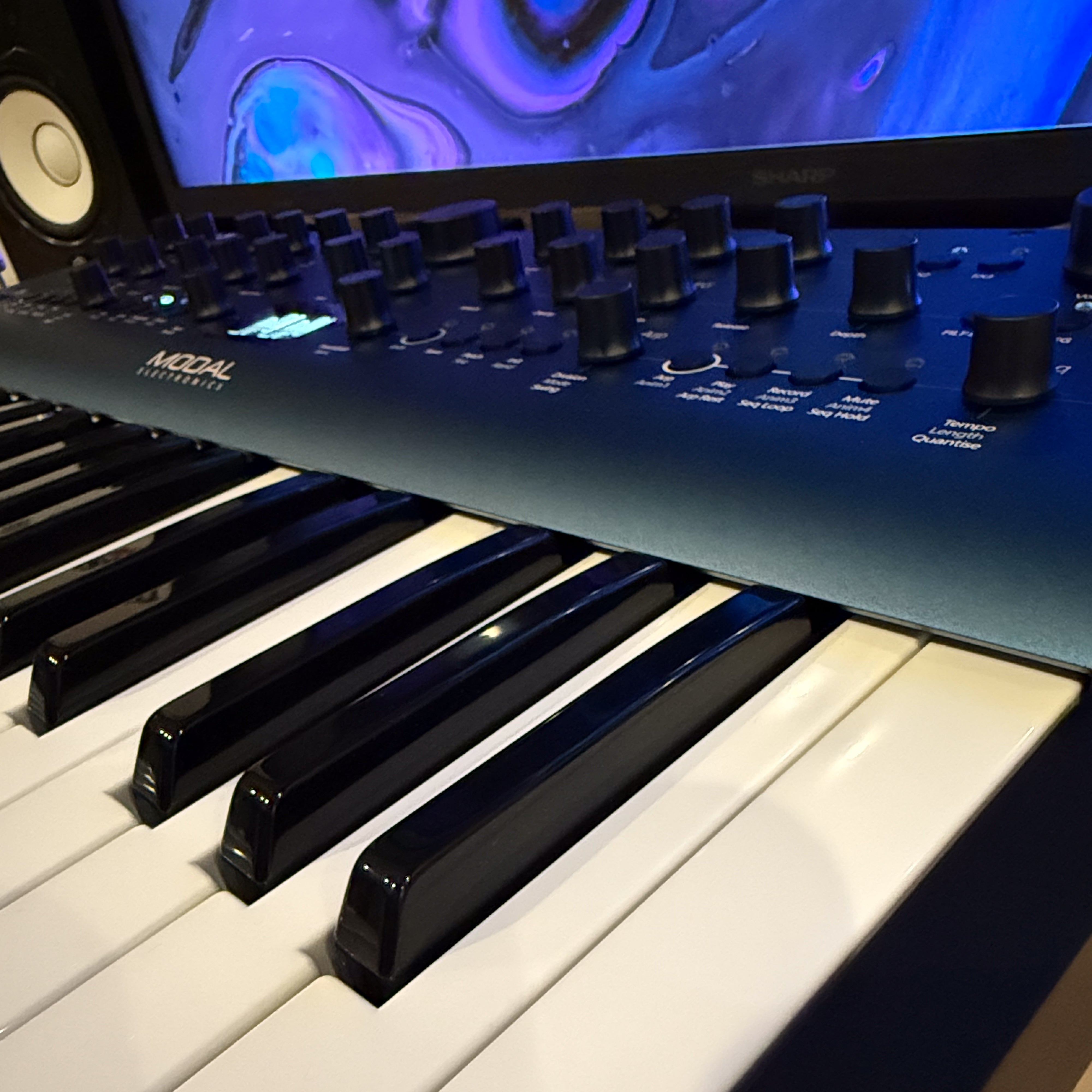 Modal Electronics Cobalt8 37-Key Virtual Analog Synthesizer View 5