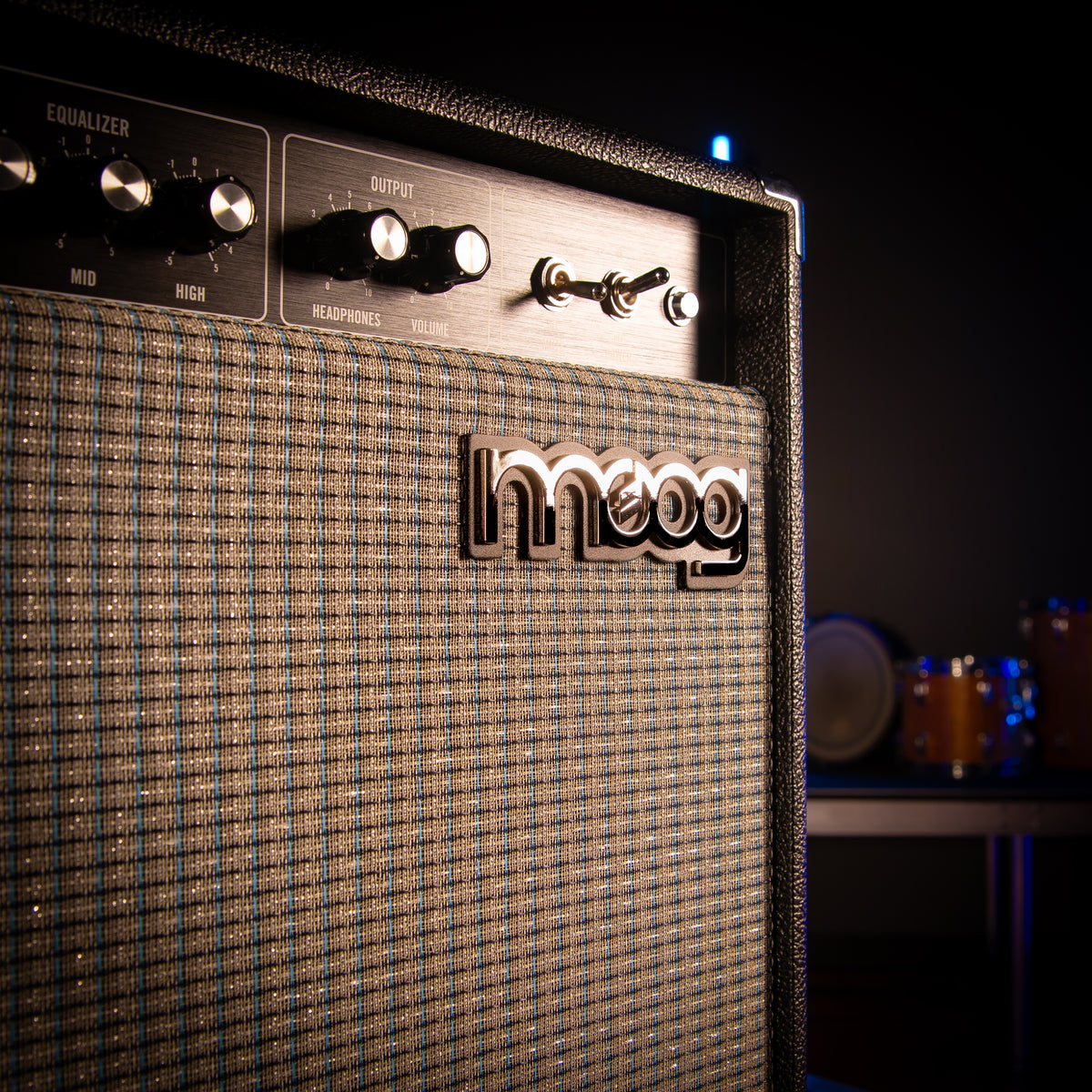 Moog Model 112 4-Channel Instrument Amplifier close up of the Moog logo