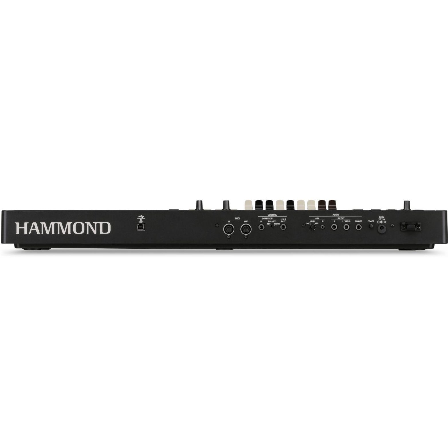 Ms-black-back-scaled-