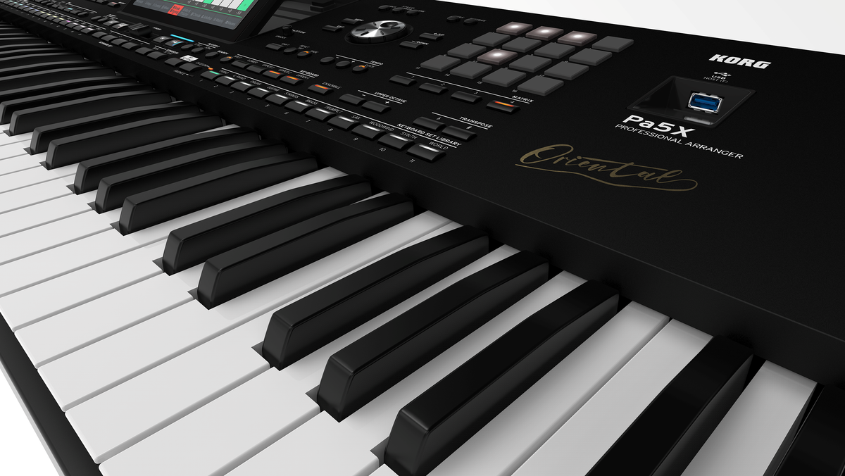 Korg PA5X Oriental 61-key Arranger Workstation Keyboard MONITOR