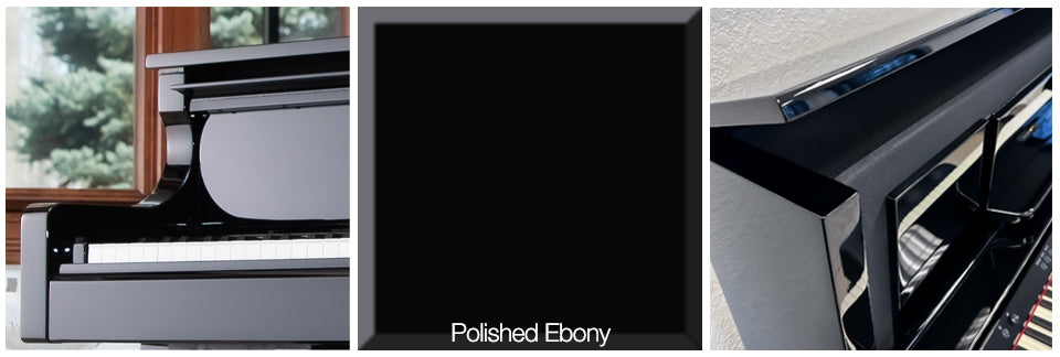 Color Profile - Polished Ebony