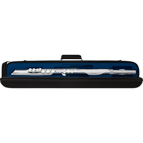 Roland Aerophone Brisa Digital Wind Instrument View 2