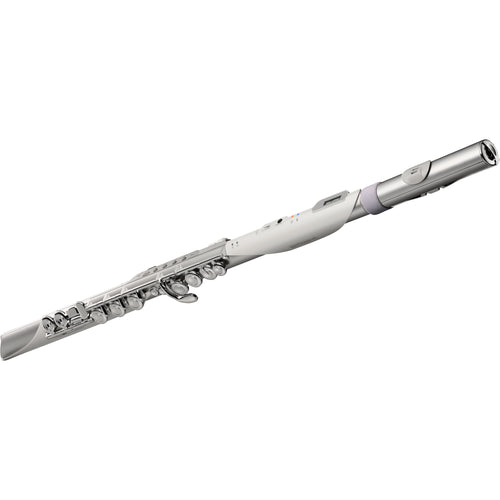 Roland Aerophone Brisa Digital Wind Instrument View 5