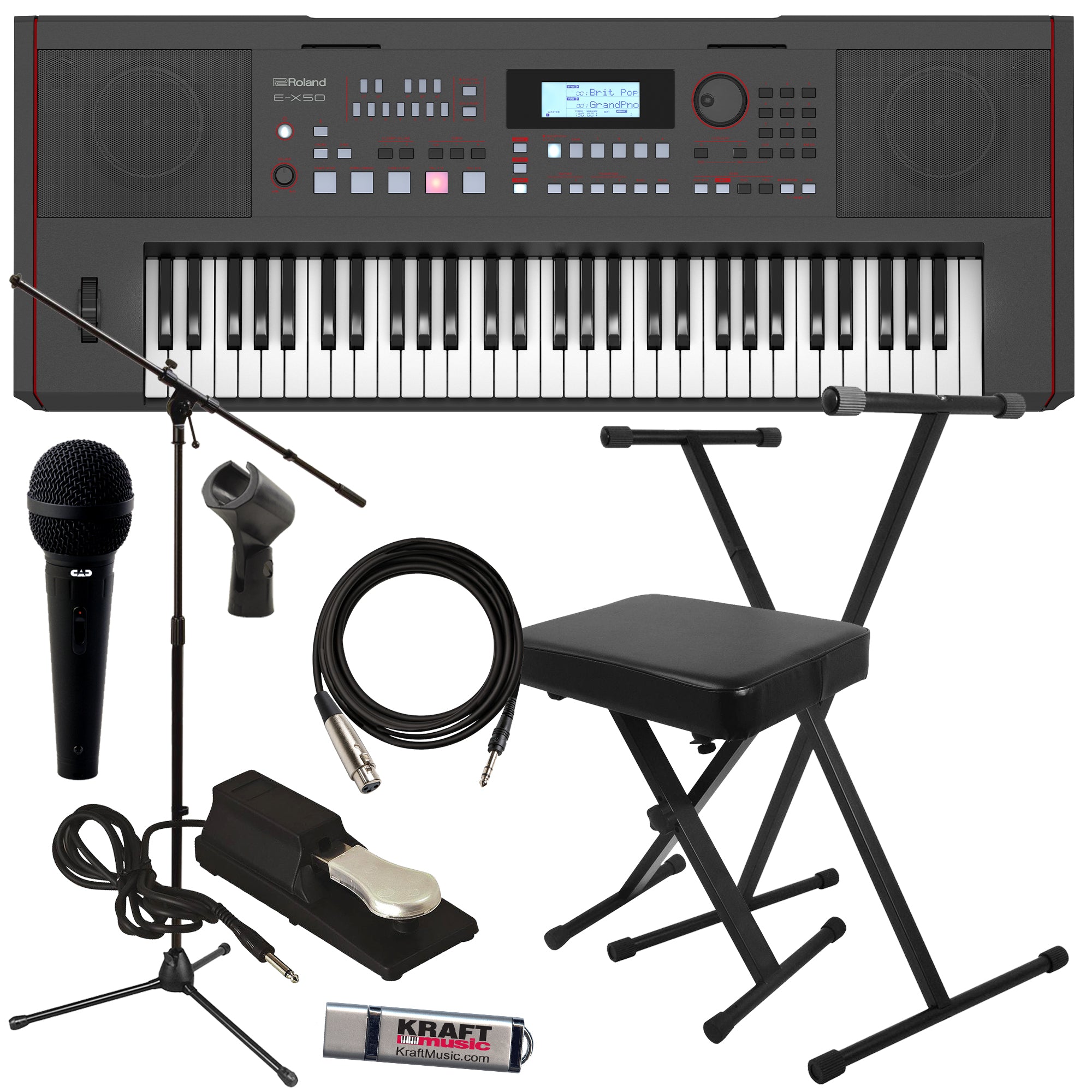 Roland E-X50 Arranger Keyboard STUDIO RIG