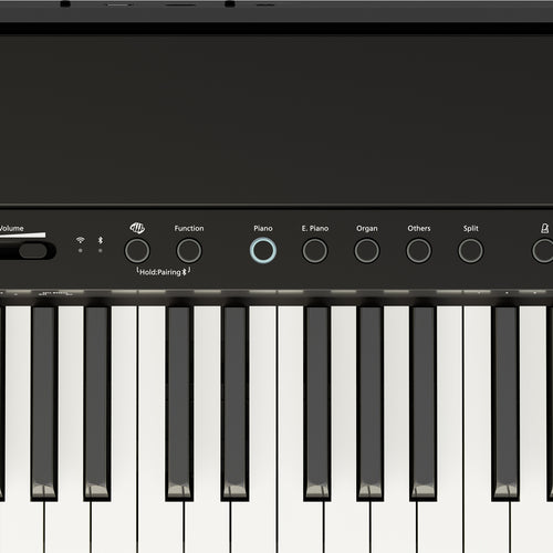 Roland FP-40 Digital Piano - Black, View 5