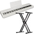 Roland FP-40 Digital Piano - White BONUS PAK