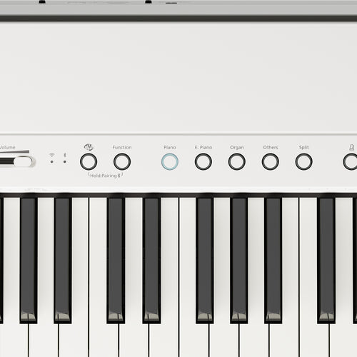 Roland FP-40 Digital Piano - White, View 8
