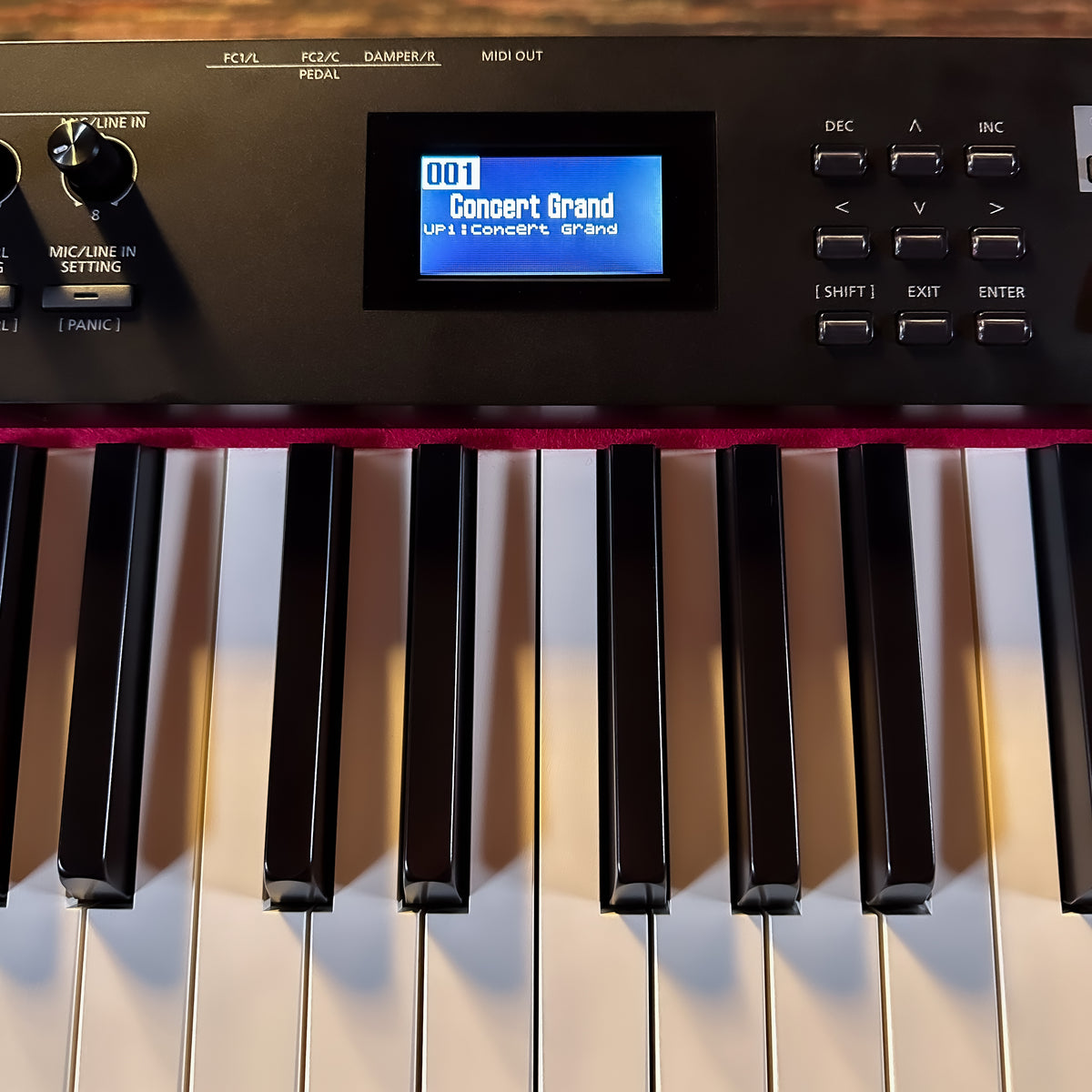 Roland RD-88 EX Stage Piano