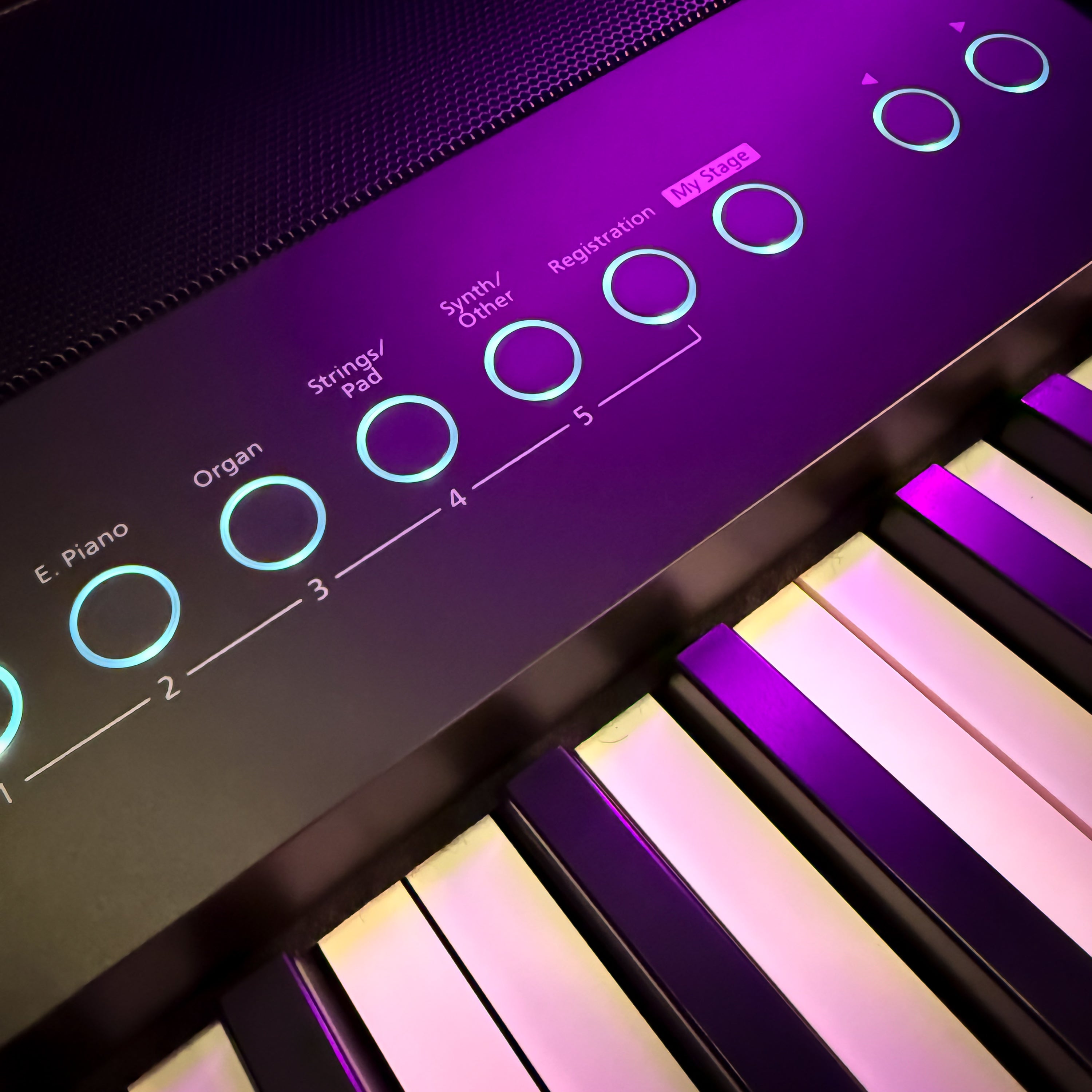 Roland FP-90X Digital Piano - Black - View 5