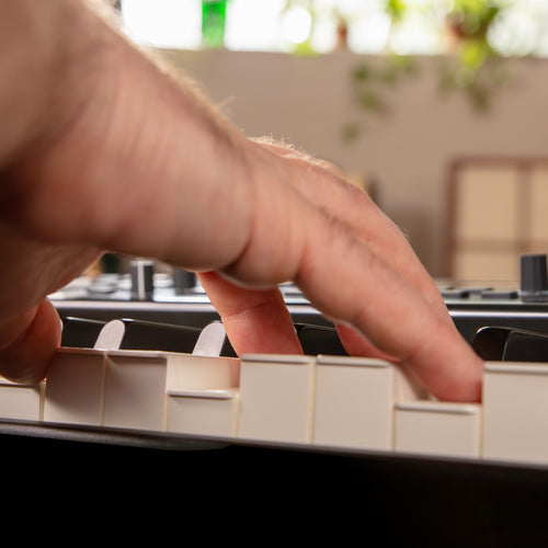 Roland V-Stage 88 Stage Keyboard piano keys