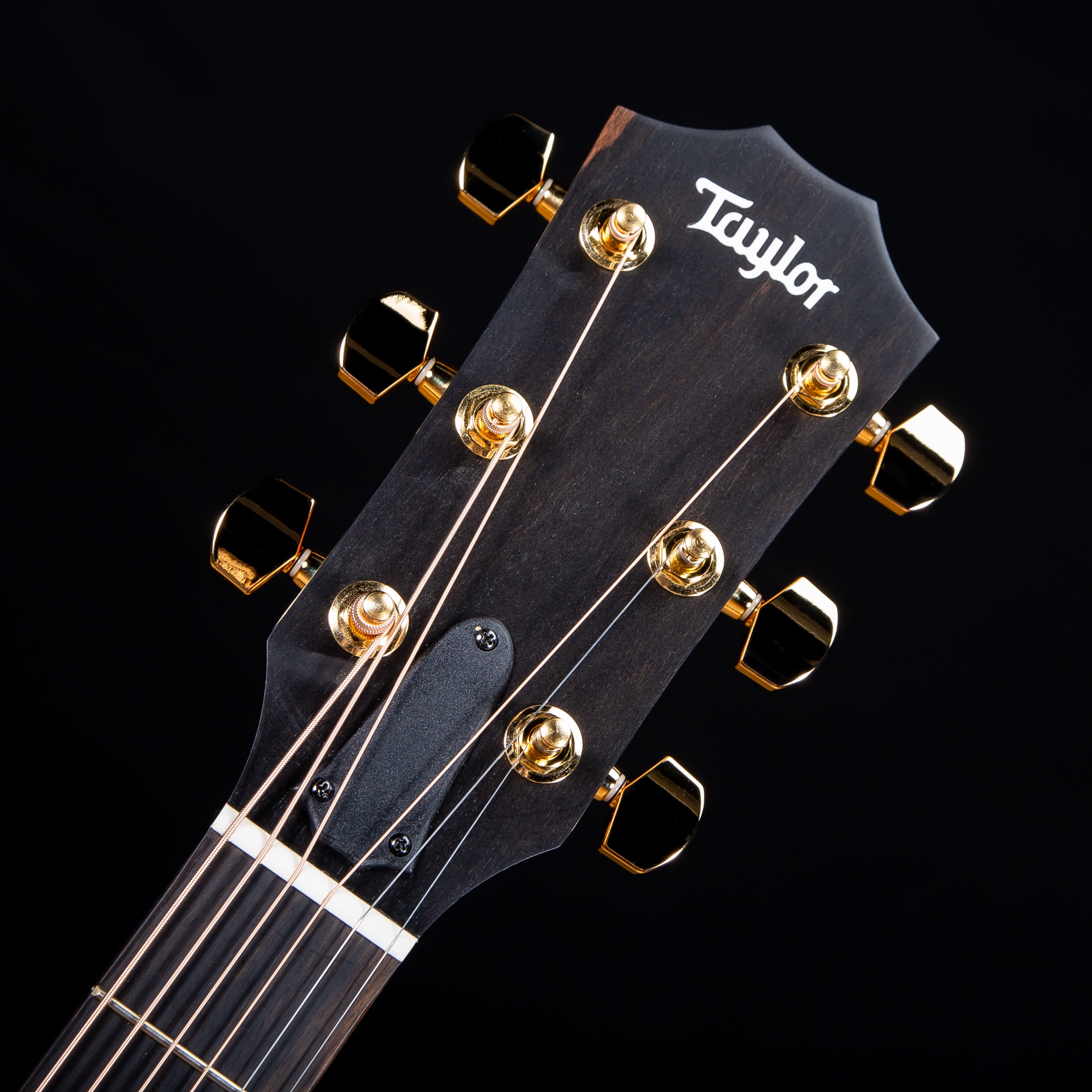 Taylor 214ce DLX Acoustic-Electric Guitar view 5