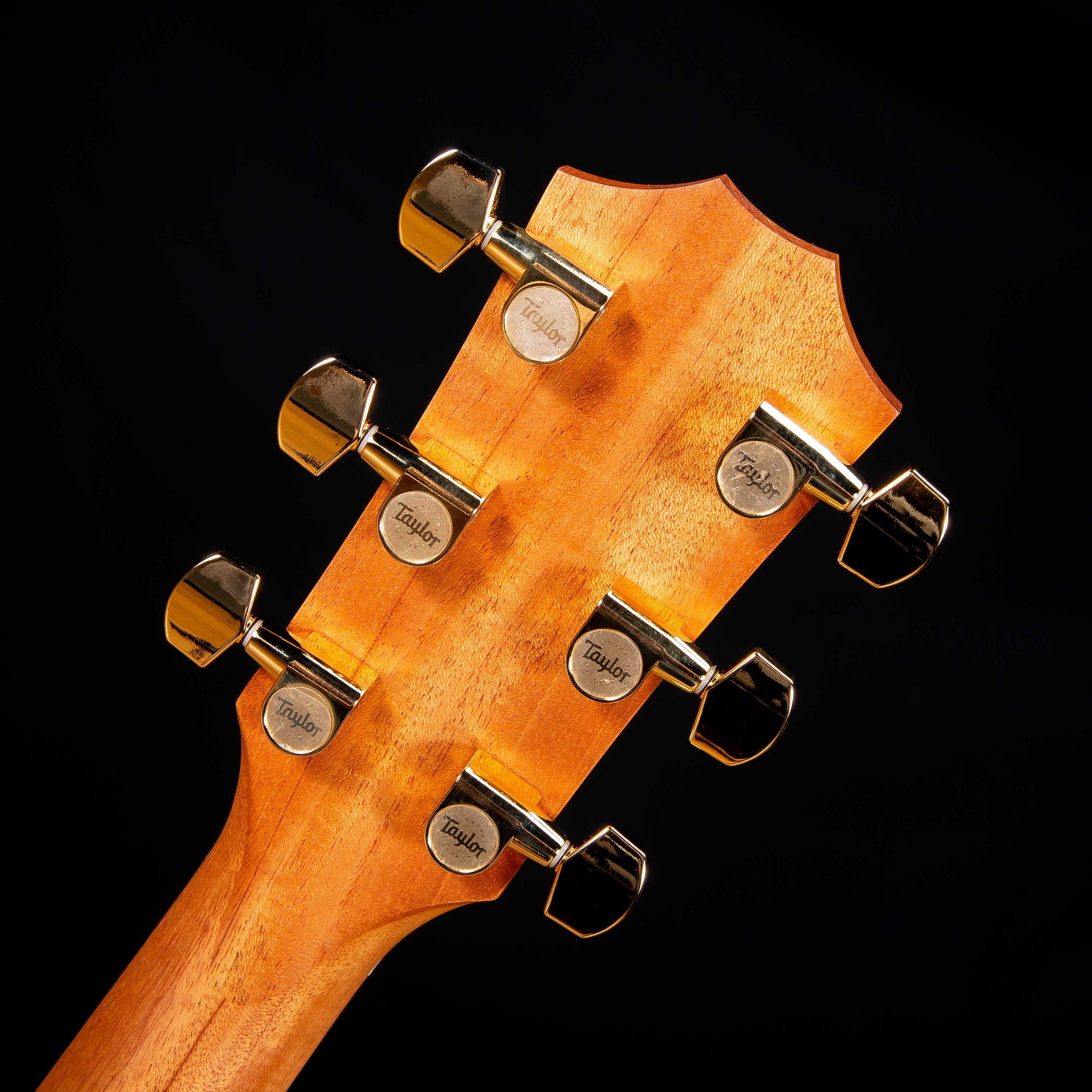 Taylor 214ce DLX Acoustic-Electric Guitar view 12