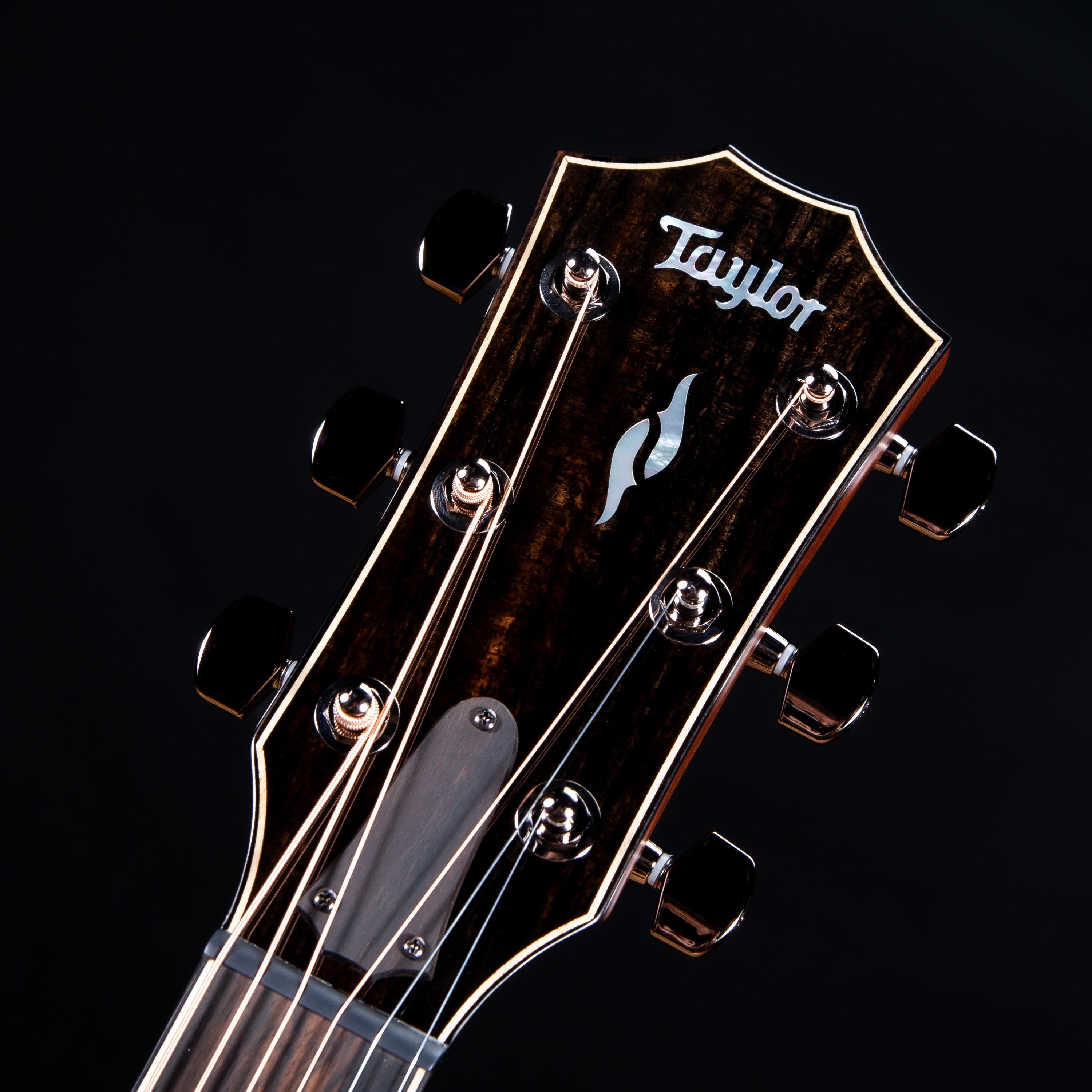 Taylor 814CE Acoustic-Electric Guitar view 5